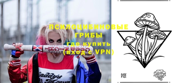 МДПВ Арсеньев