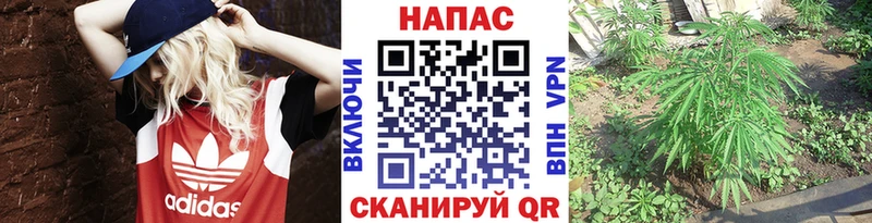 Конопля гибрид  продажа наркотиков  Тюкалинск 